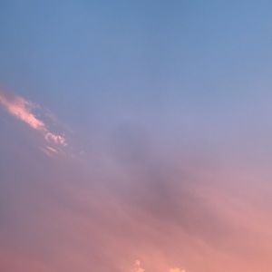 Meet your Posher, Kyleigh